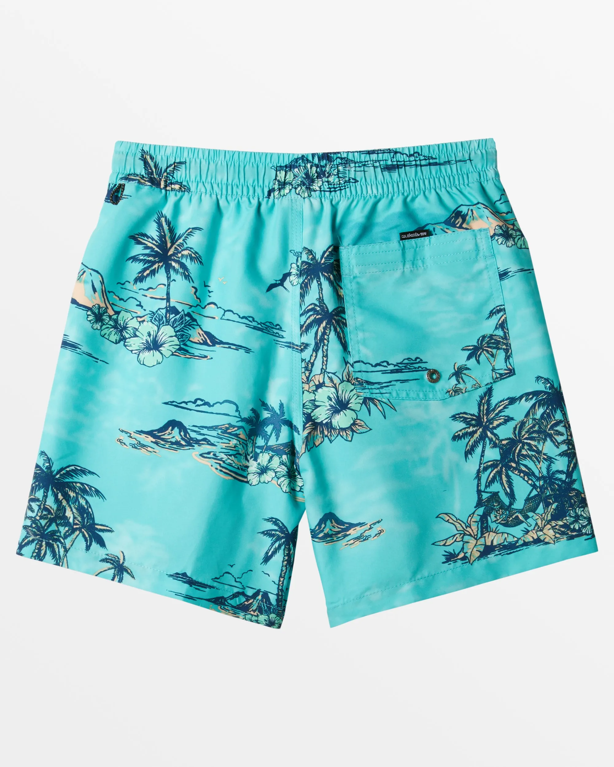 Boys 2-7 Everyday Mix Volley 12" Elastic Waist Shorts - Capri