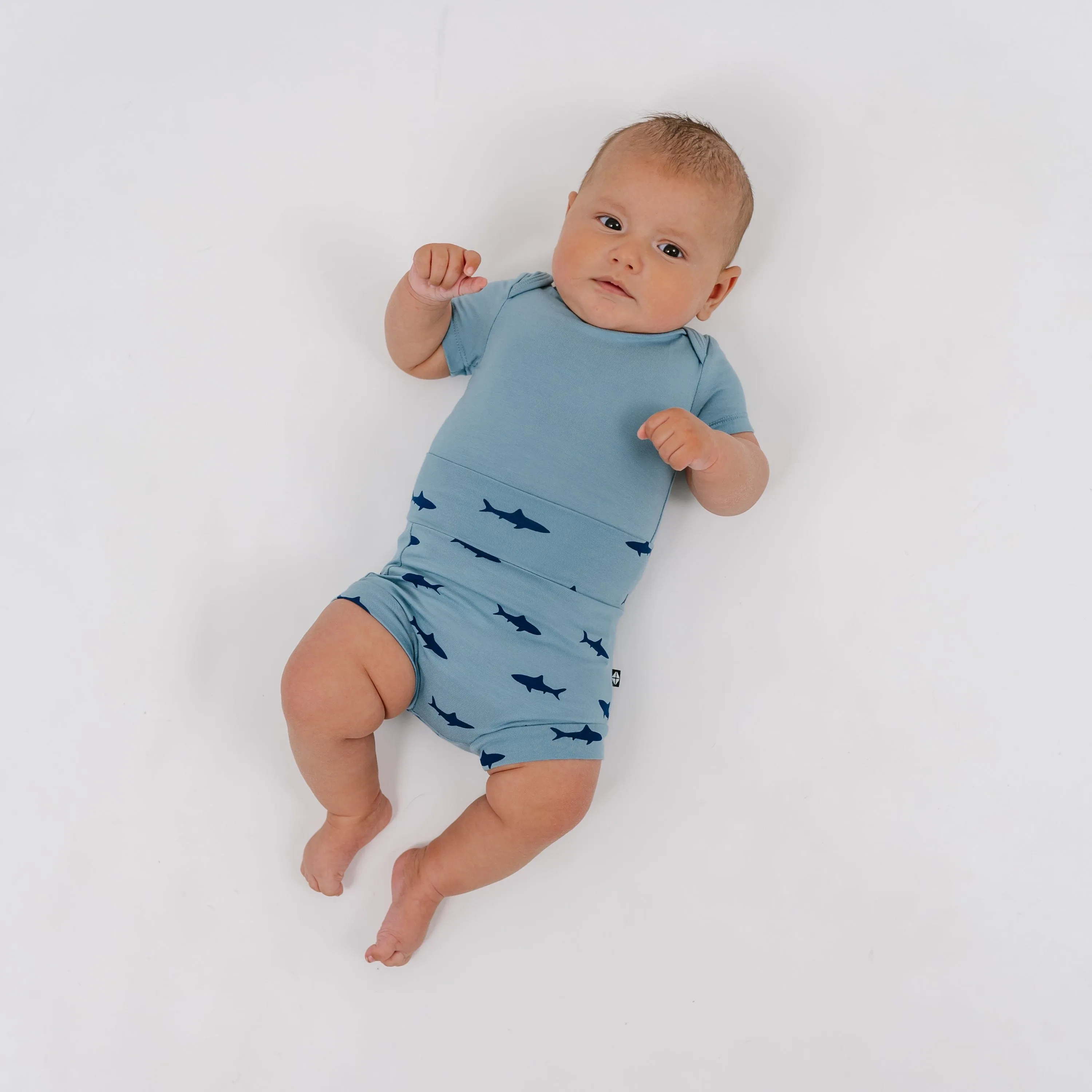 Bummies in Shark