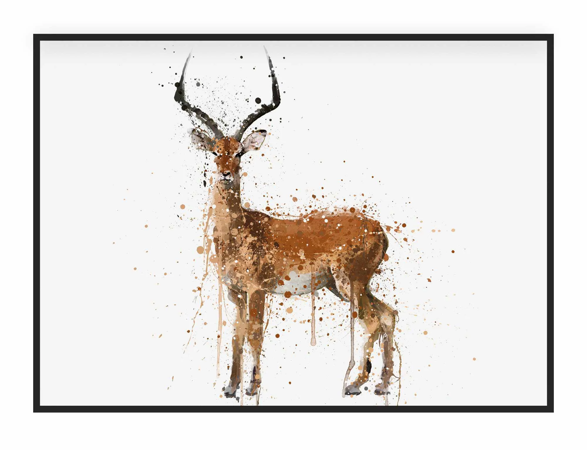 Impala Wall Art Print